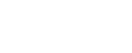 Strapec logo
